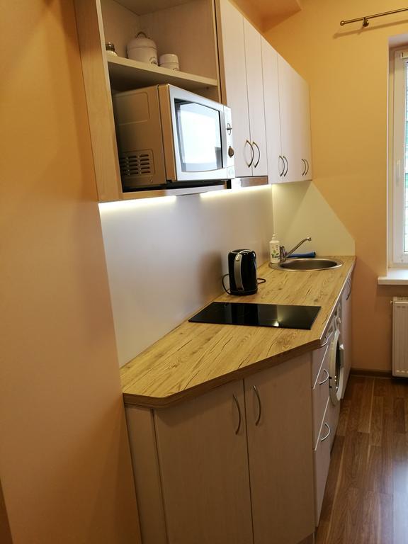 Hearthouse Apartments ดรูซกินินไก ภายนอก รูปภาพ